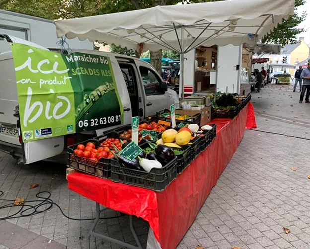 Étal de marché vendant des légumes bio frais, tomates et aubergines à Villedieu-sur-Indre près de Châteauroux en Indre 36
