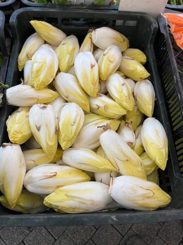 Endives